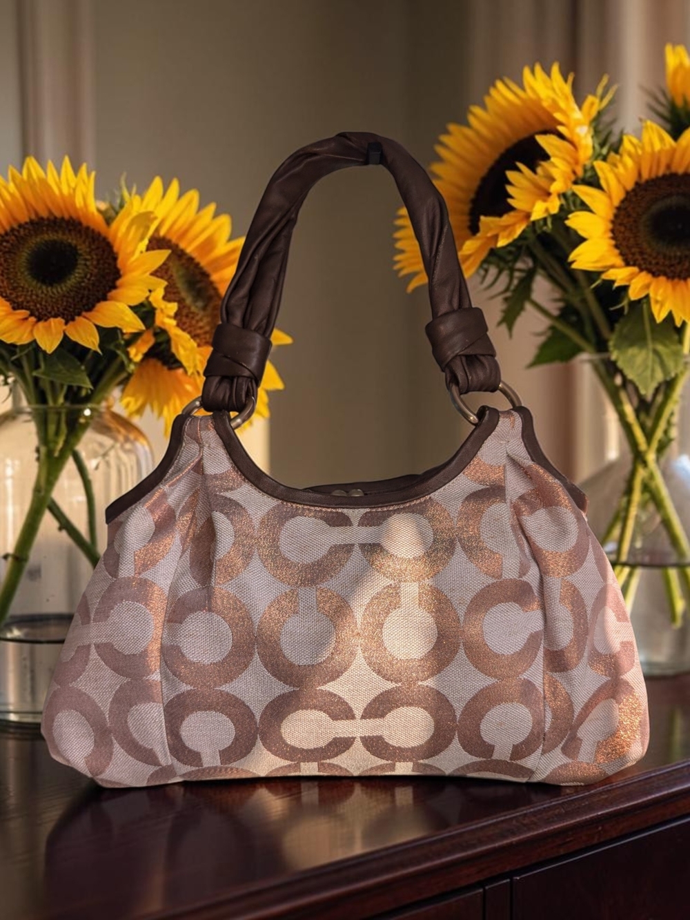 Rare Coach Parker Iridescent Copper Signature Kisslock Hobo Bag + Wristlet 🌻